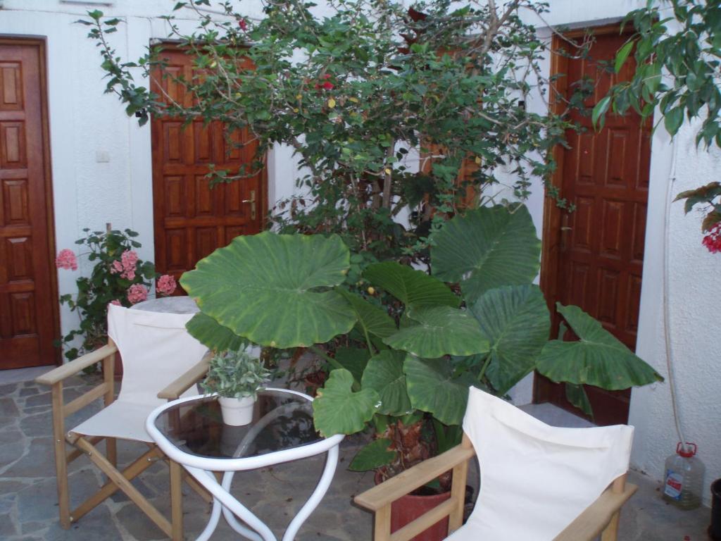 Pantazis Studios Aegina Quarto foto