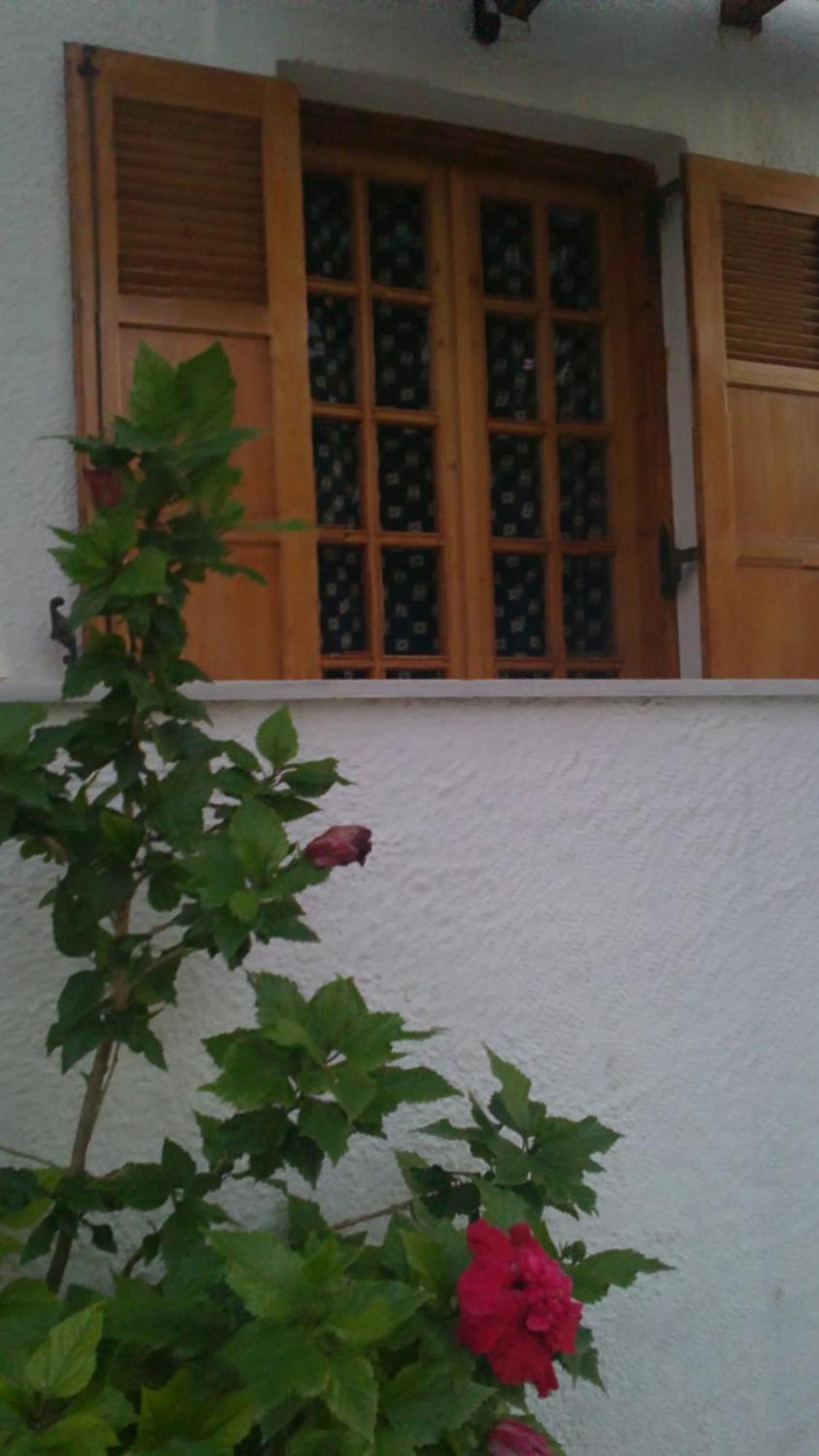 Pantazis Studios Aegina Exterior foto