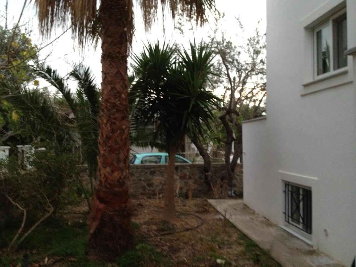 Pantazis Studios Aegina Quarto foto